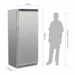 Armoire réfrigérée négative - GN 2/1 - Garantie 2 ans - 600 L - Classe N