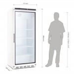 Armoire réfrigérée vitrée positive - GN 2/1 - Paiement 4X - Inox - Garantie 2 ans - 600 L - Classe N