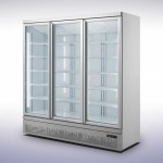 Armoire réfrigérée vitrée positive - Classe N