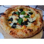 Four pizzas professionnel électrique - Thermostat 450 °C / 230 V. - Paiement 4X - 1 x 34 cm