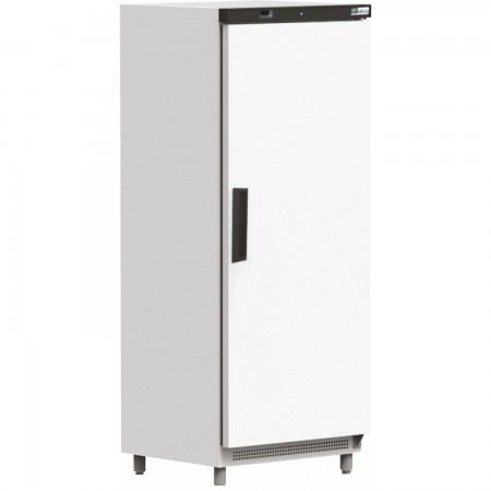 Armoire positive porte pleine 570L - AFI COLLIN LUCY