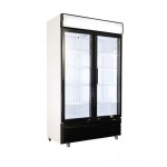 Vitrine à boisson réfrigérée - 2 portes 630L - GASTROMASTRO
