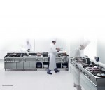 Friteuse électrique 9 litres 380 volts